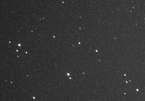 asteroid 'Petuni'